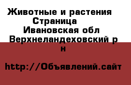  Животные и растения - Страница 34 . Ивановская обл.,Верхнеландеховский р-н
